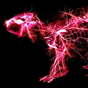 一级成人黄色片
