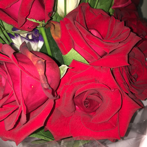 一级成人黄色片
