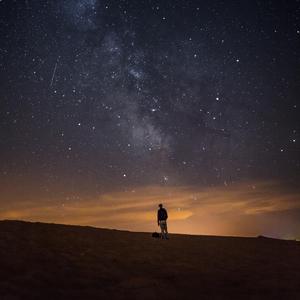 一级成人黄色片
