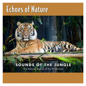 一级成人黄色片
