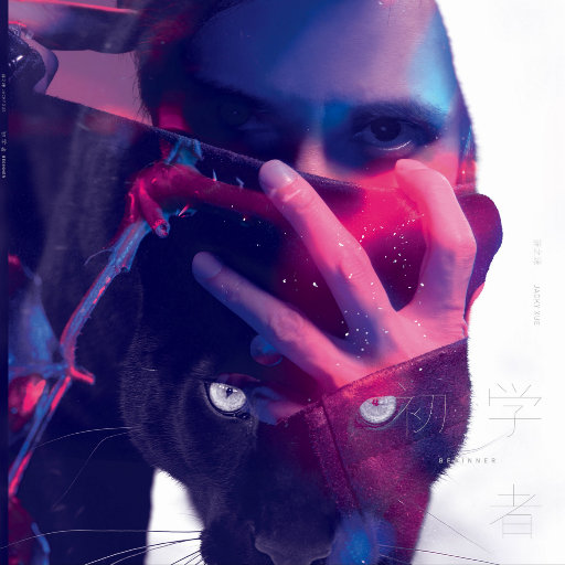 一级成人黄色片
